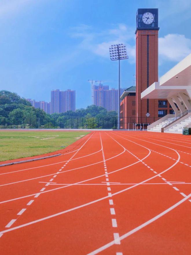 特长生相关乐鱼平台网站问题合集(图6)